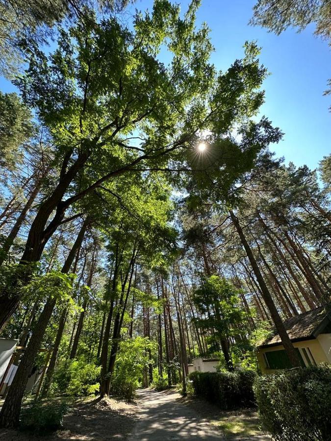 Summer House Любневице Экстерьер фото