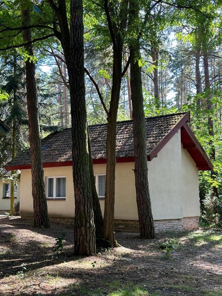 Summer House Любневице Экстерьер фото